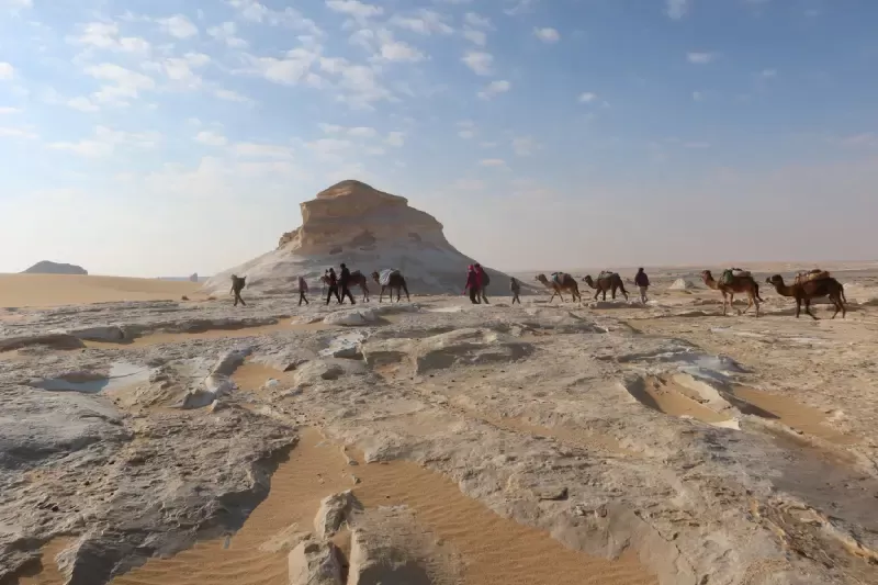 Deserto Bianco, escursione al deserto bianco e oasi di bahariya