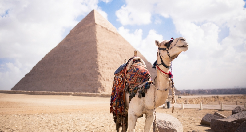 Cairo e Crociera Nilo a Pasqua | Crociera sul Nilo Pasqua 2020 e Cairo