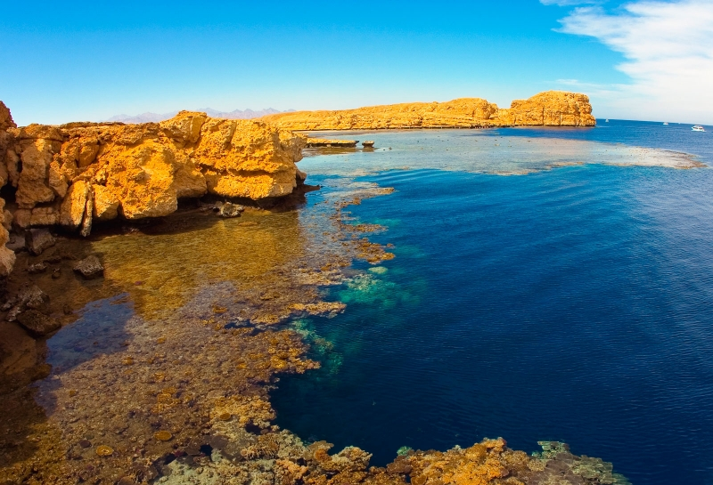 escursione Ras Mohamed