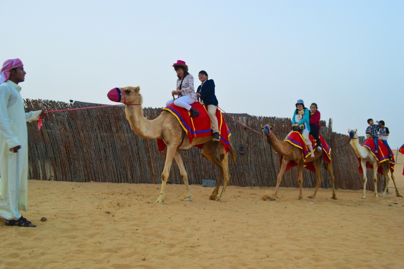 Giro in Cammello a Dubai