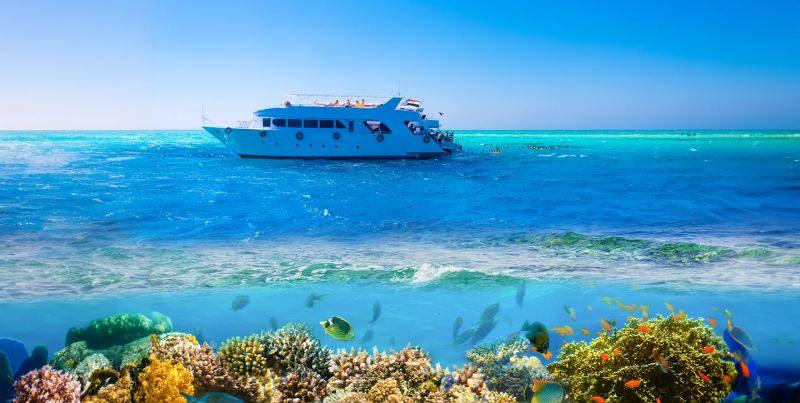 Sharm El Sheikh Barriera Corallina