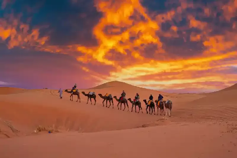 wahiba sands, wahiba sands