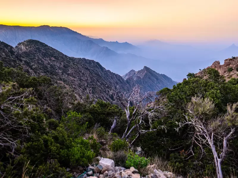 Asir , Provincia di Asir