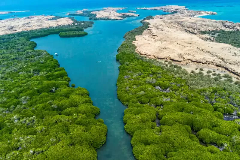 Jizan , Jizan Arabia saudita