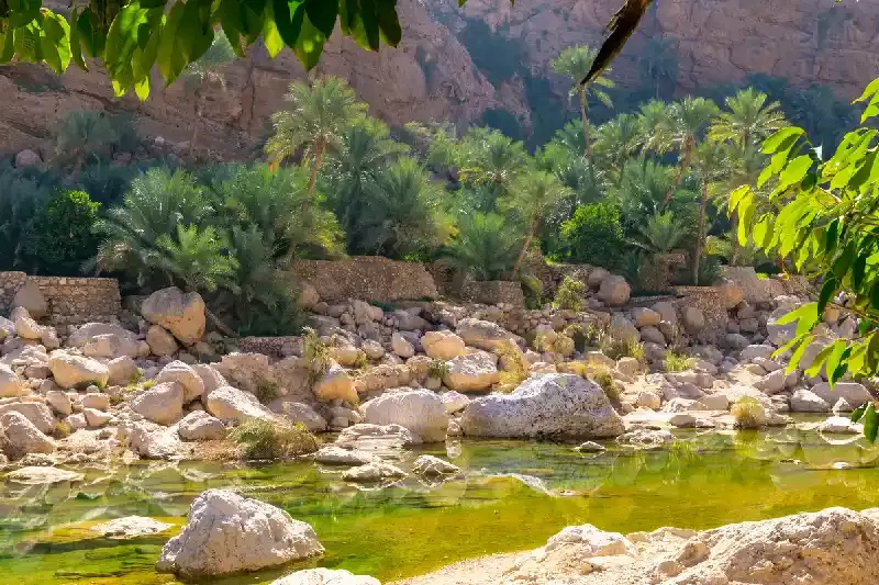 Wadi Tiwi,Wadi Tiwi
