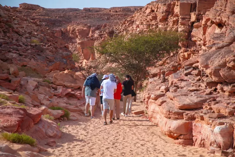 Excursión Safari en el Sinaí desde Sharm o Dahab