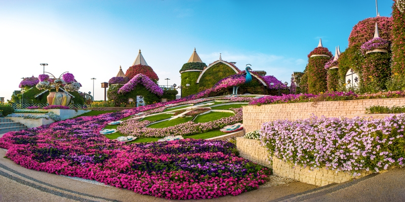 Miracle Garden | Dubai 