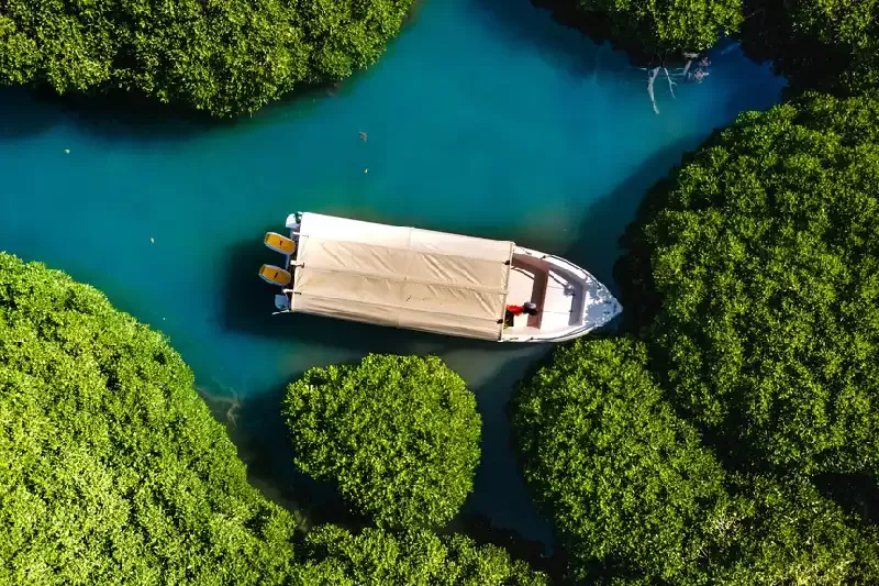 ISole di Farasan a jizan , isole farasan