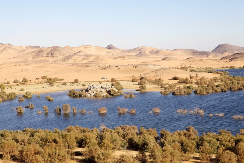 Lake Nasser, Fishing in Lake Nasser