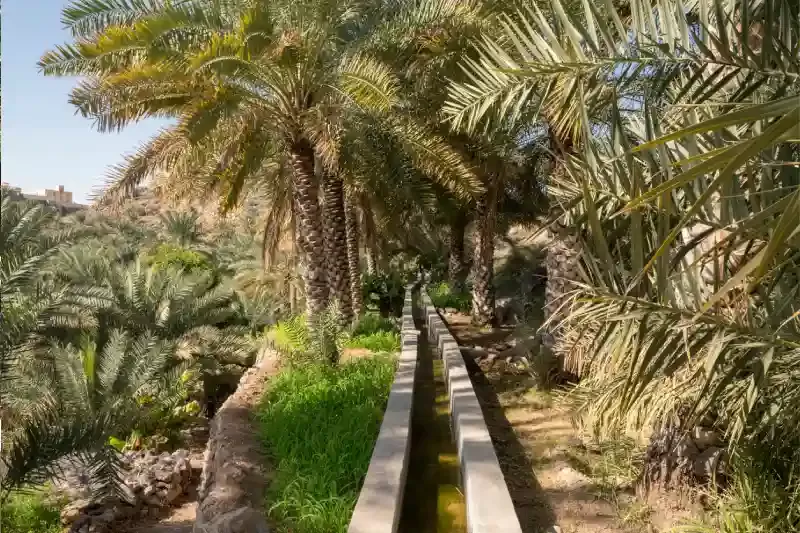 misfat al abriyeen, misfat al abriyeen