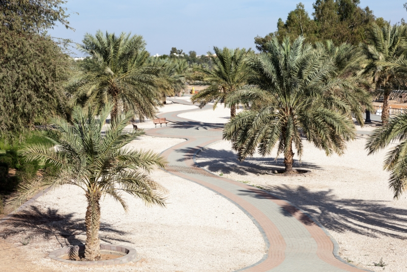 Oásis de Al Qudra