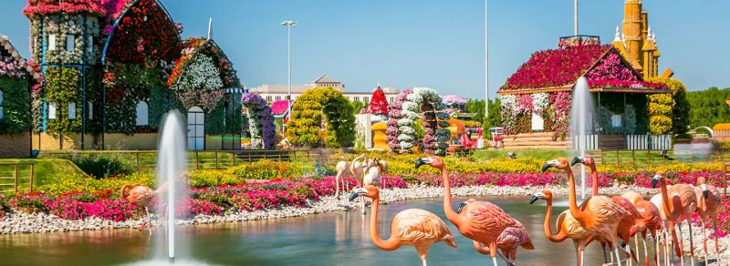 giardini di fiori dubai , Dubai miracle Garden 