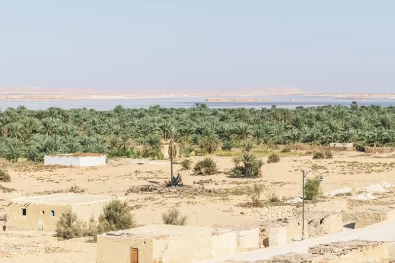 Oasi di Farafra