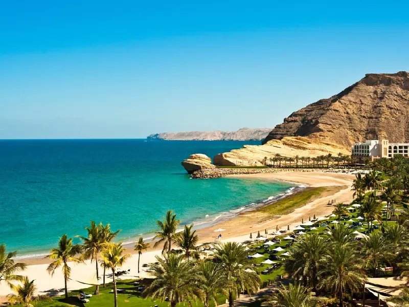 Oman Mare | Mare In Oman