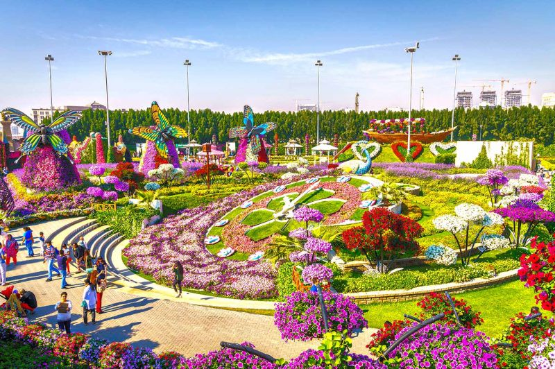 Dubai Miracle Garden: The power of the flower