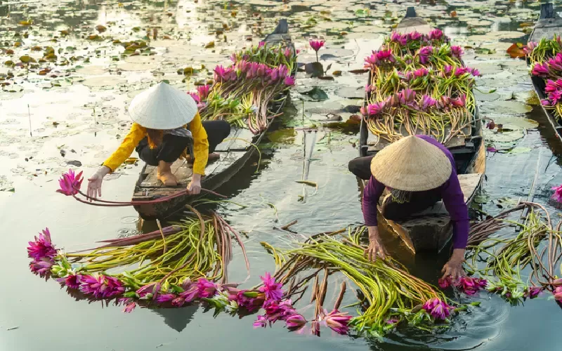 Delta del Mekong, Vietnam