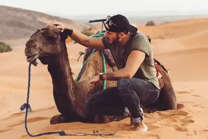 Wahiba Sands, Wahiba Sands