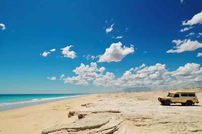 Ras Al Hadd, Ras Al Hadd