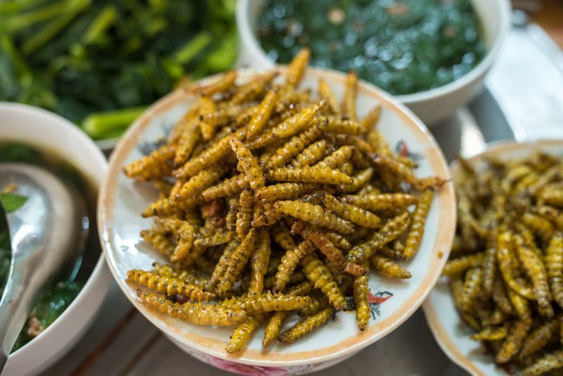 Cultural Food Food Around the World Exotic Food