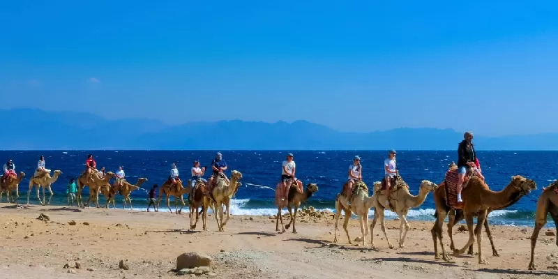 Los turistas montan camello en la playa