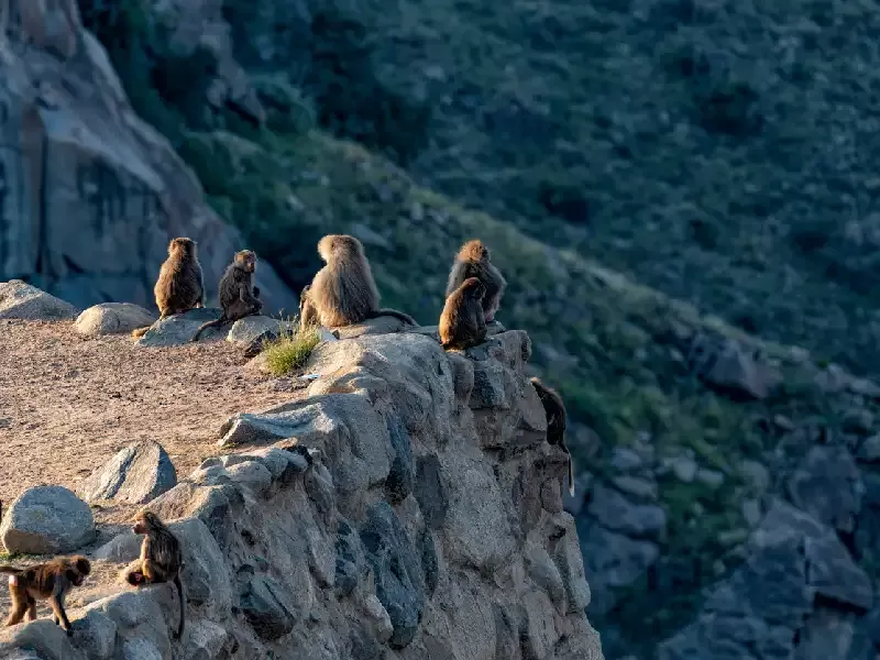 Abha saudita , citta di abha