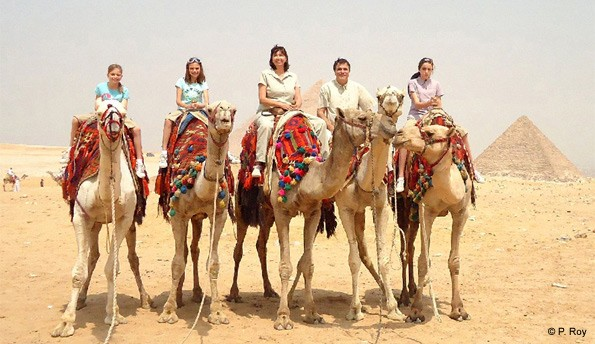 A Group of Tourists Enjoying Camel Ride at Giza Pyramids