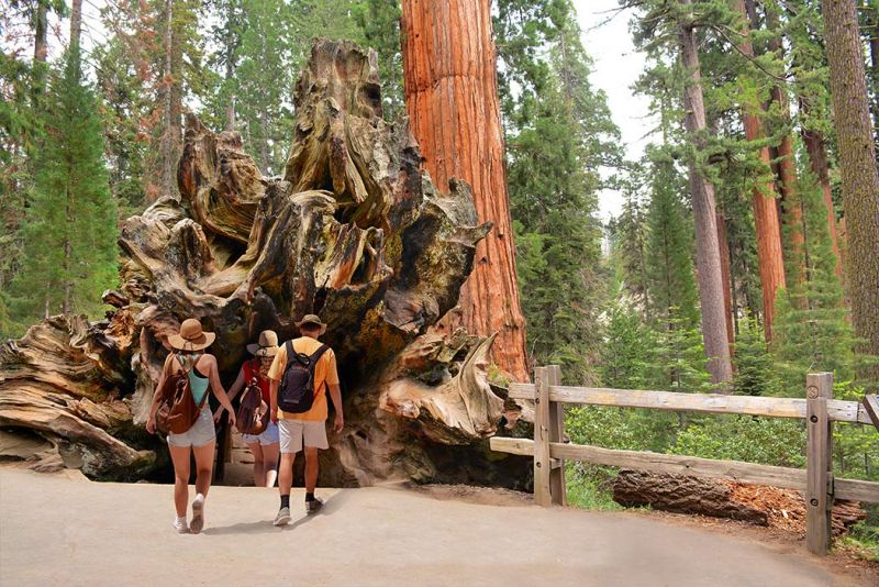 cose da vedere in california