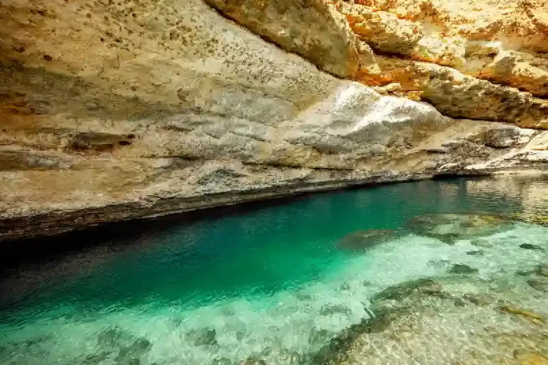 Oman Mare | Mare In Oman