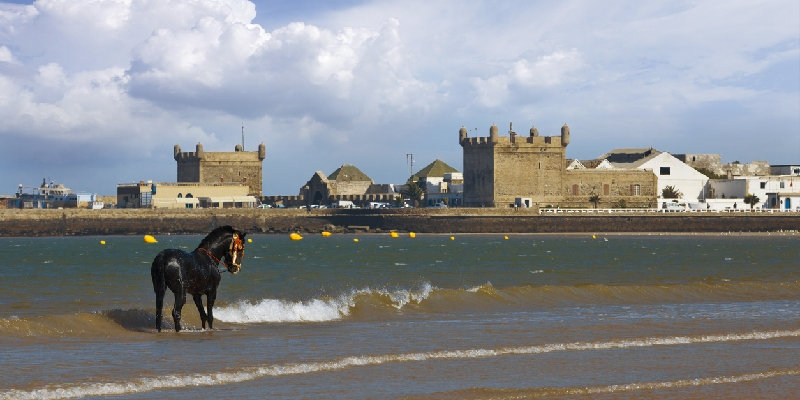 Essaouira