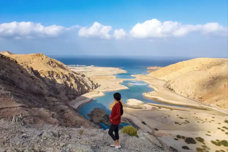 Oman Mare | Mare In Oman