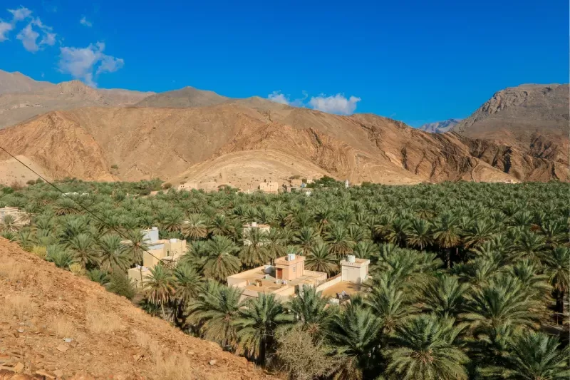 Birkat Al Mouz Oman, Birkat Al Mouz