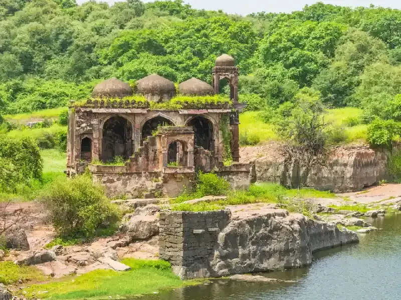 Ranthambore , Ranthambore india