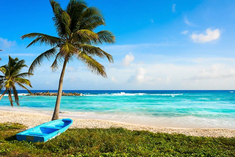 mete tropicali economiche