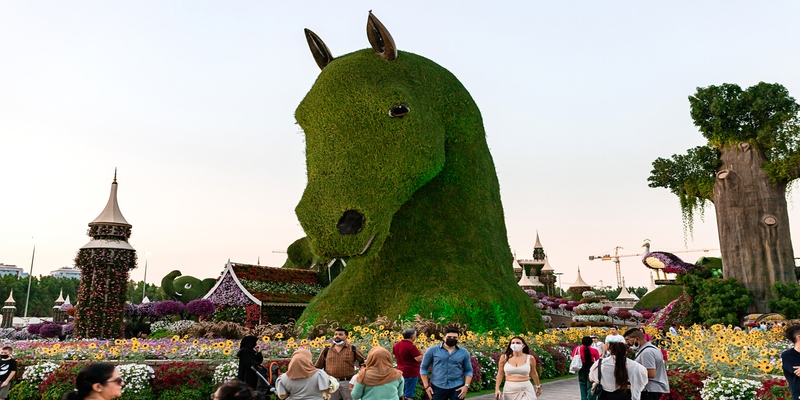 Miracle Garden | Dubai 
