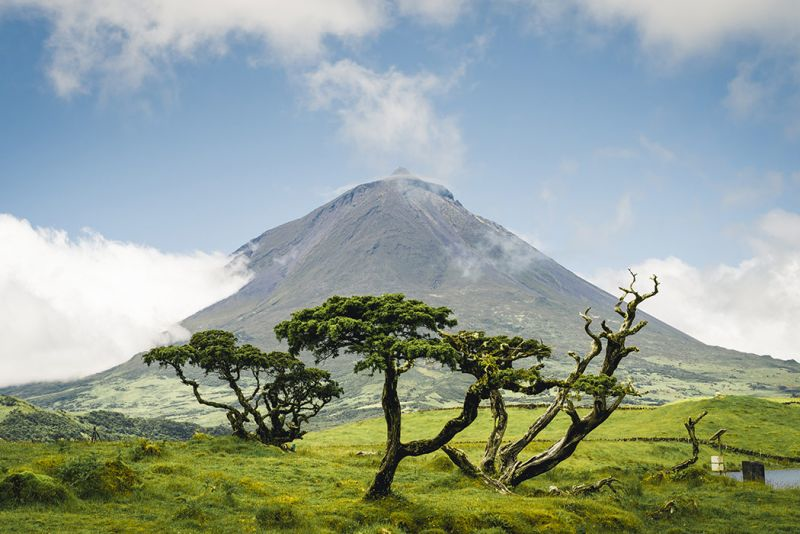 isole del portogallo