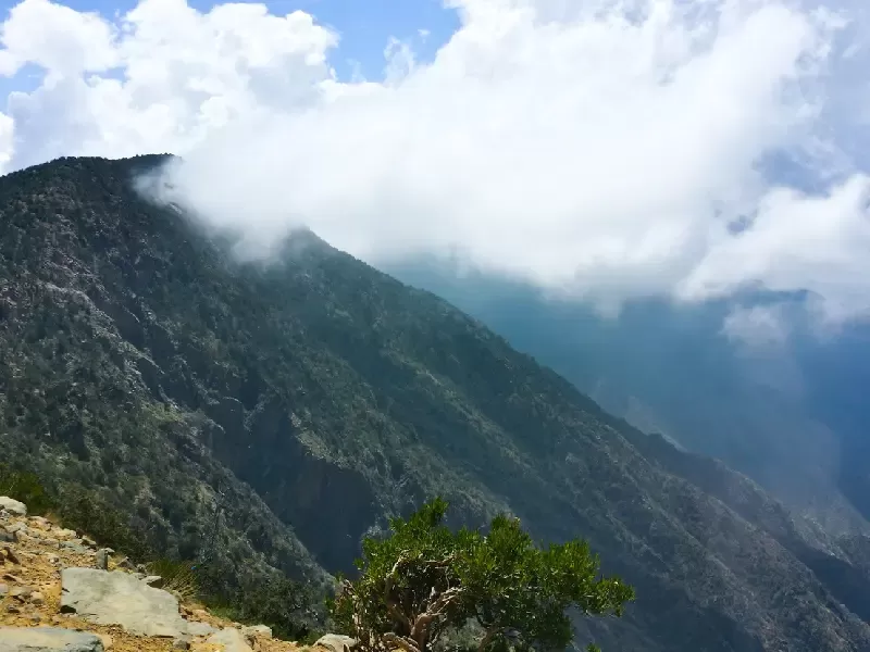 abha saudita , Provincia di Asir