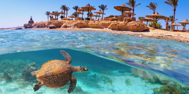Marsa Alam , Egipto