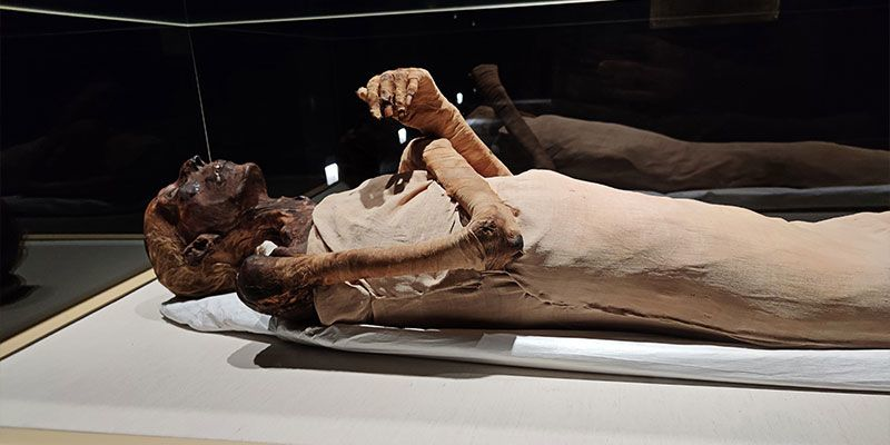 La Momia de Ramsés II