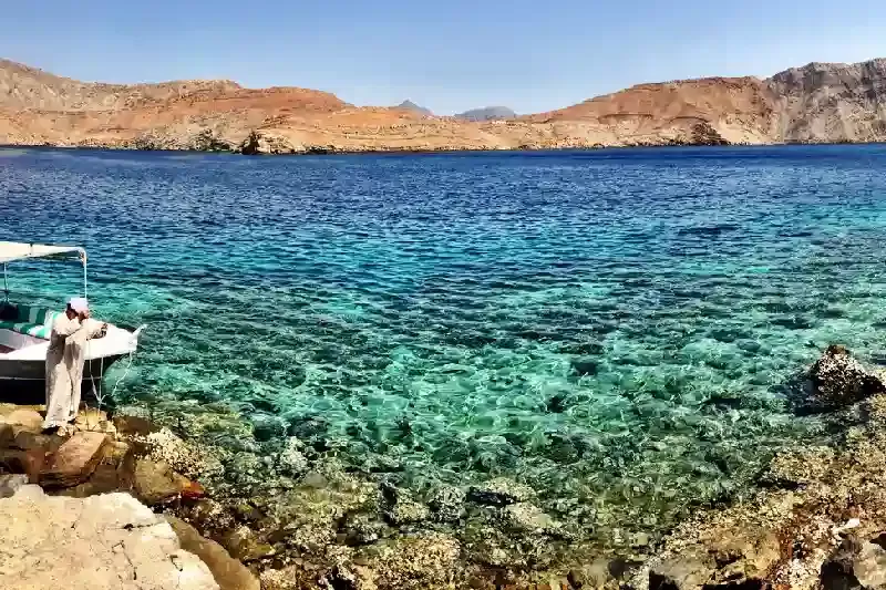 Oman Mare | Mare In Oman