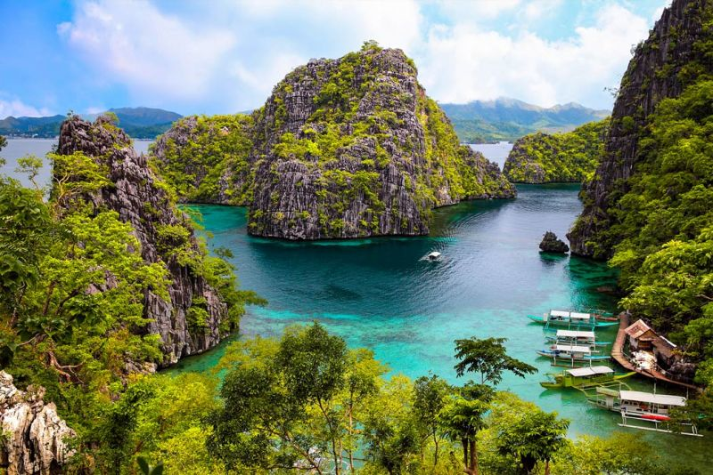 mete tropicali economiche