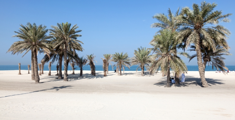 Umm al quwain palaya