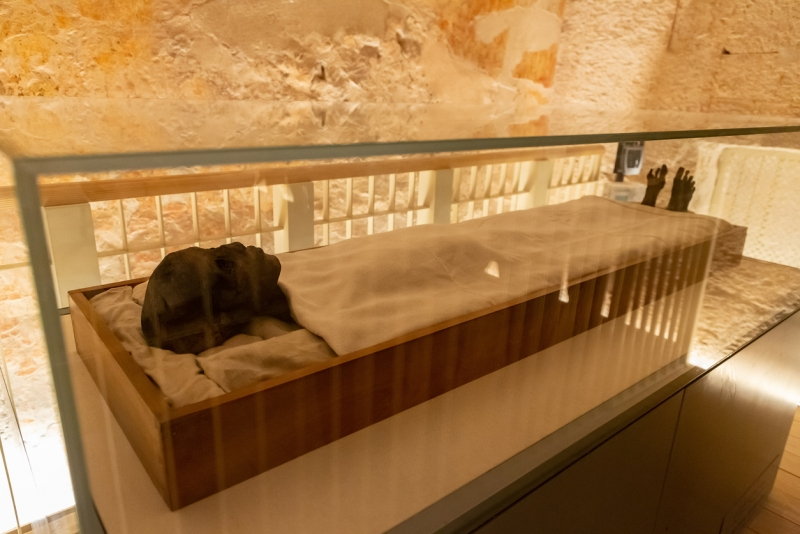 mummy of tutankhamun, King Tutankhamun Facts