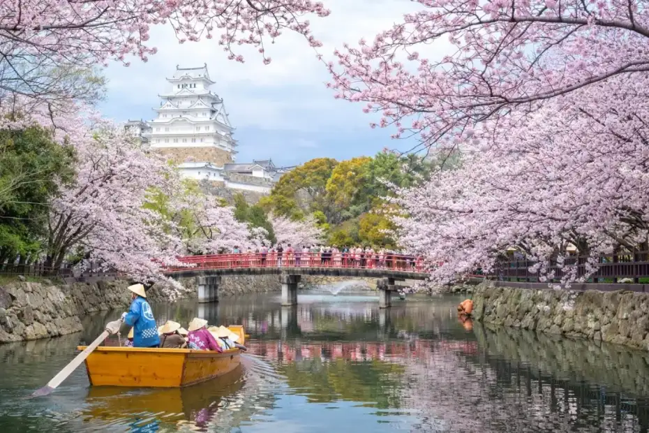 Vive la esencia de Japón