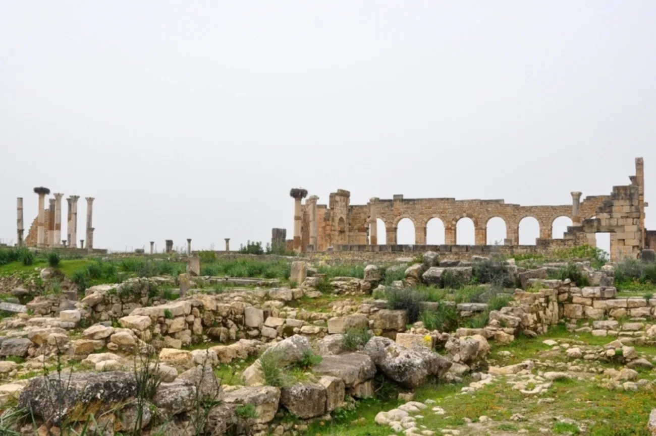Città di Volubilis