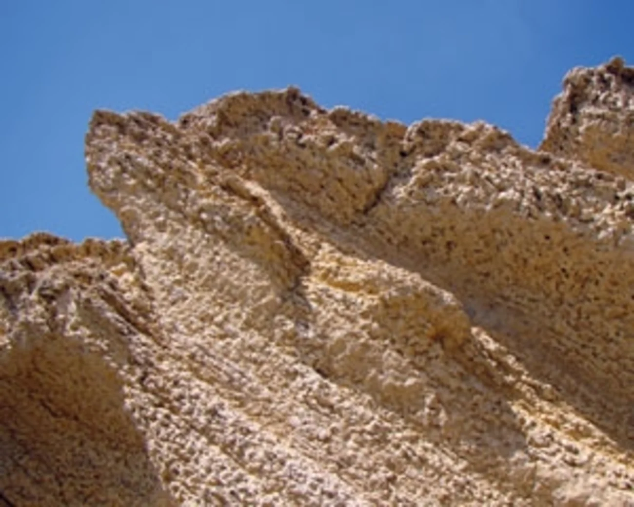 Nodular Limestone in Oman