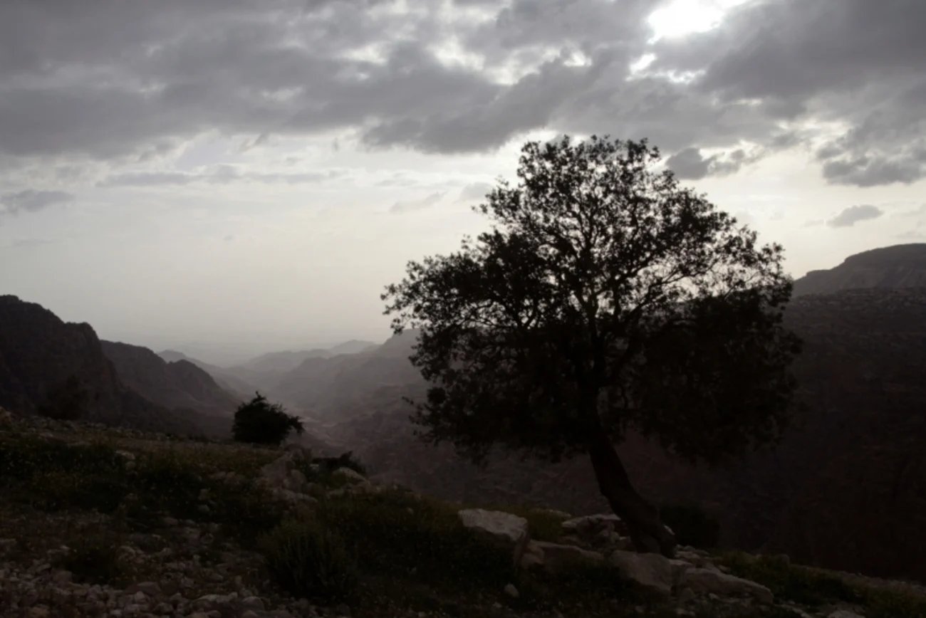 Dana Biosphere Reserve