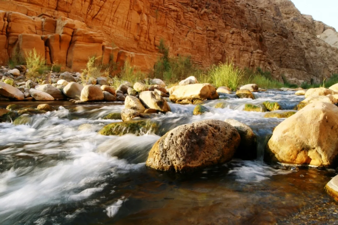Mujib Nature Reserve