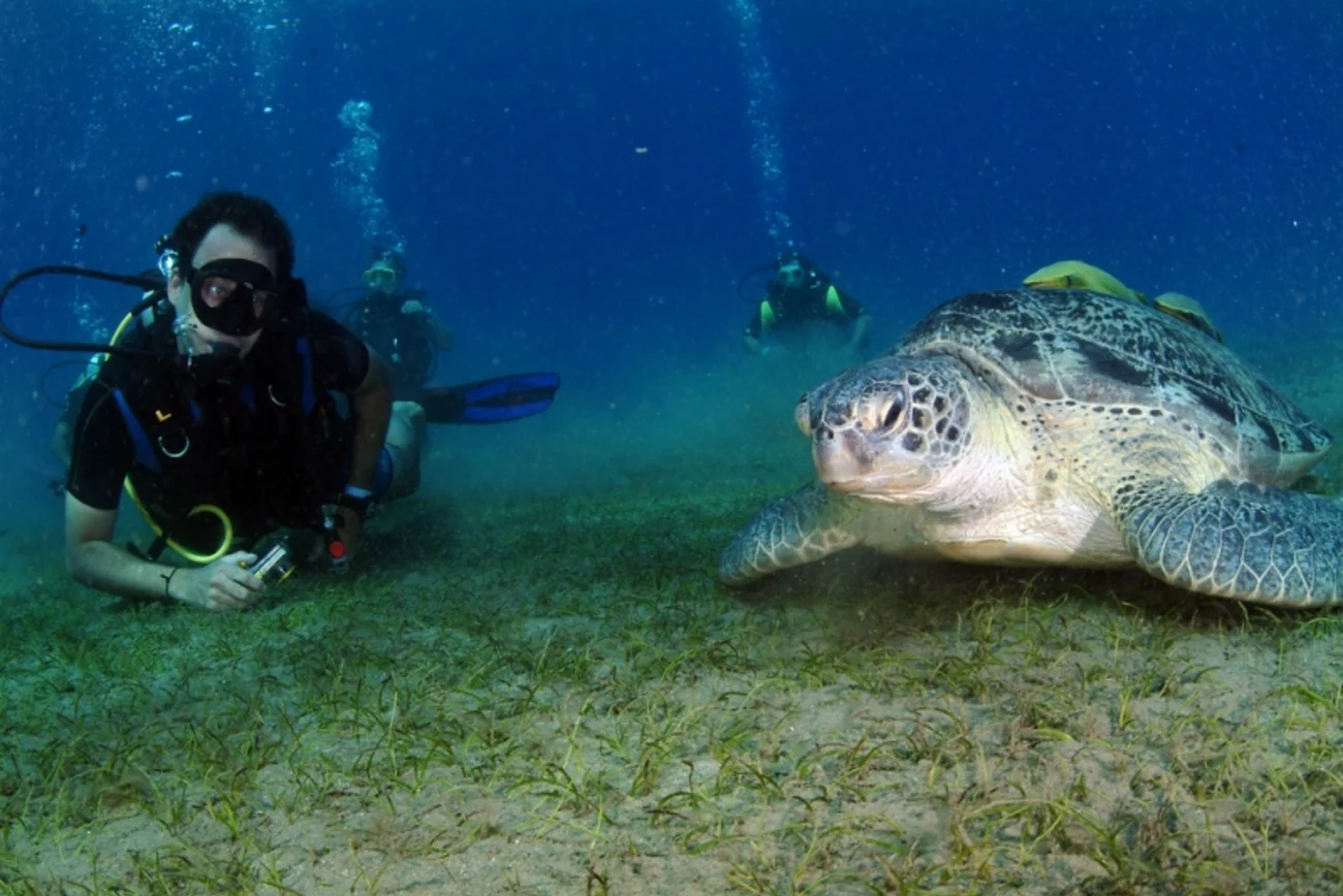 Marsa Alam Information 