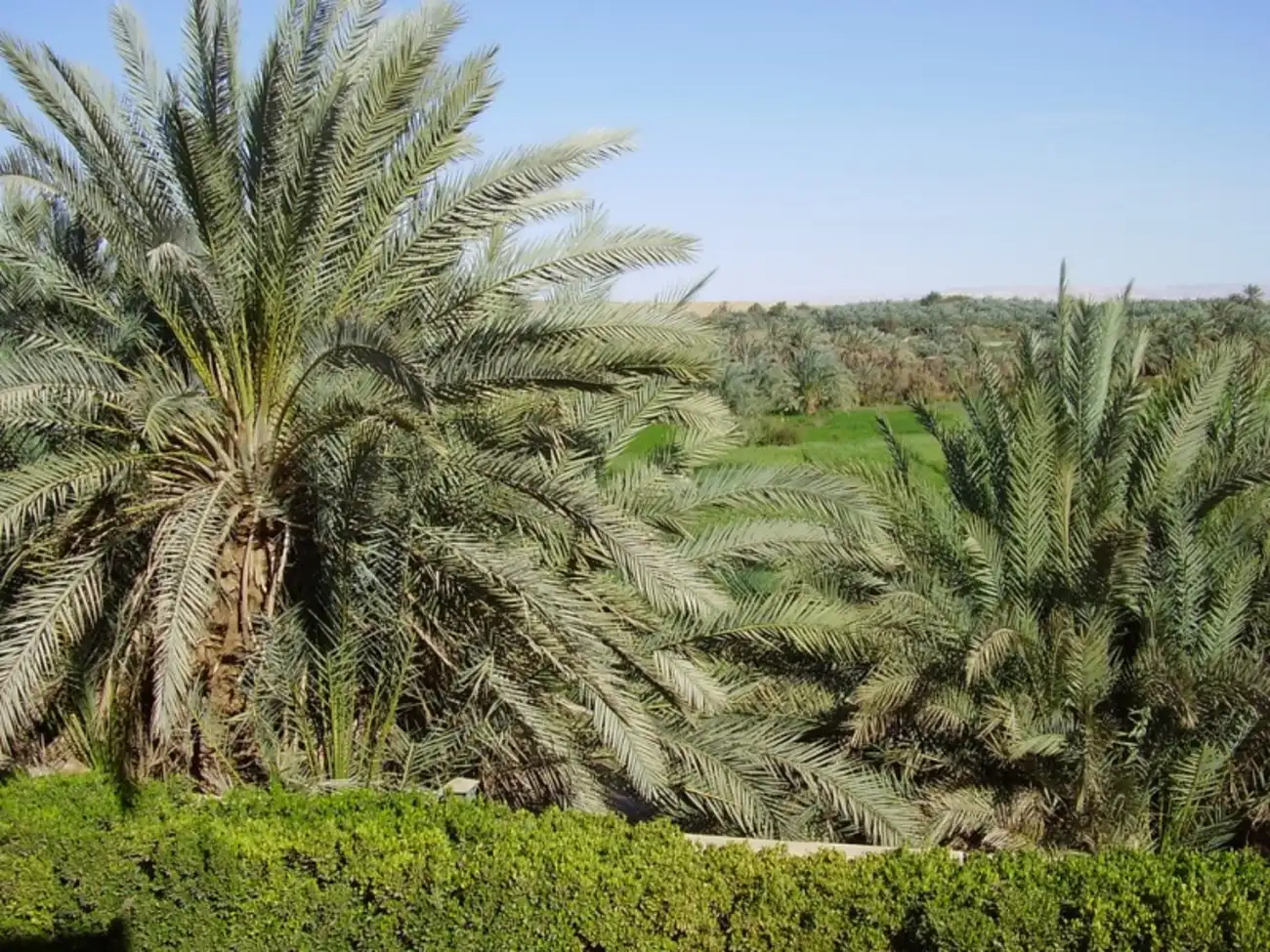 L'Oasi di Kharga nel Deserto Occidentale: Guida Completa