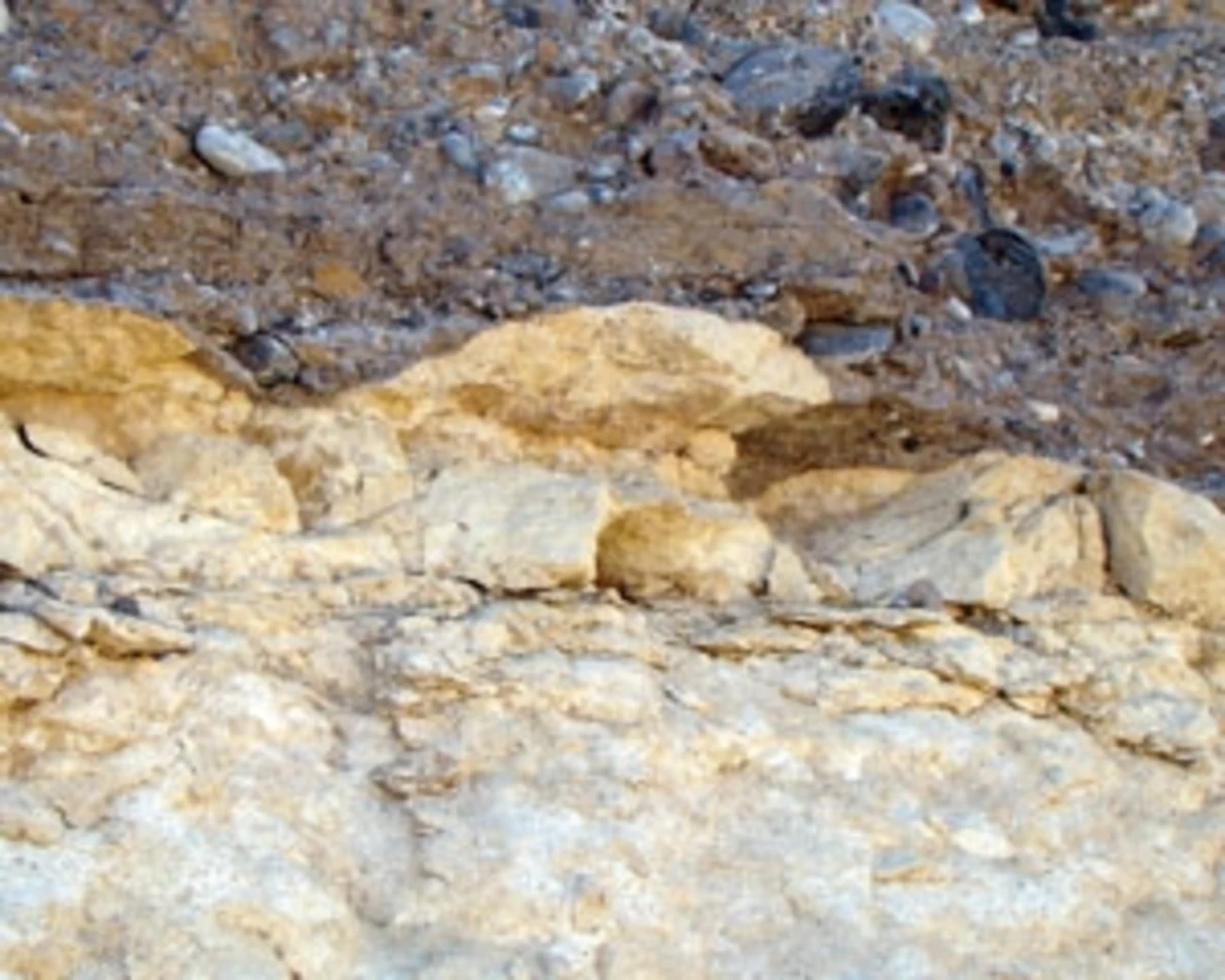 Al Khoud Unconformity in Oman